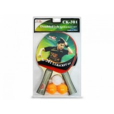 Набор DOUBLE FISH СК-301: 2 ракетки, 3 мяча
